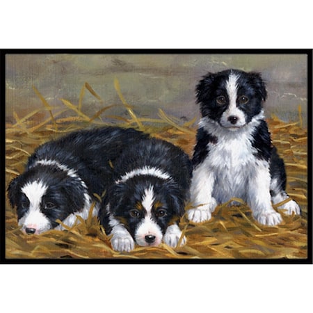 Jensendistributionservices Border Collie Puppies Indoor or Outdoor Mat, 18 x 27 MI2557132